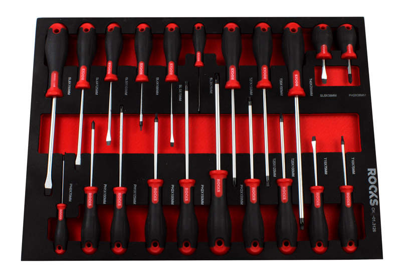 SET DE ȘURUBELNITE PLATE, TORX ȘI PH, 21 PIESE